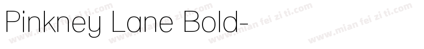 Pinkney Lane Bold字体转换